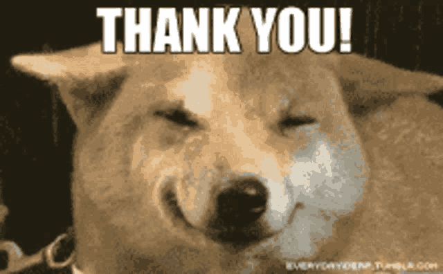 Thank You Meme