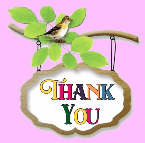 Thank You Thank You So Much GIF