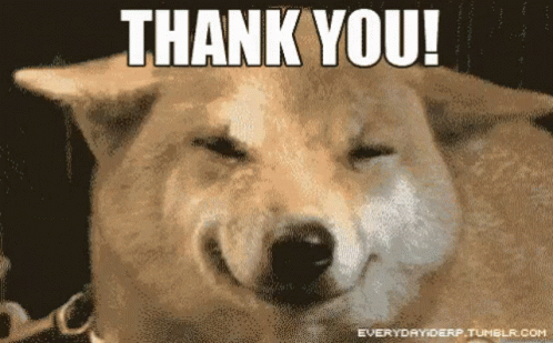 Thank You Thanks GIF