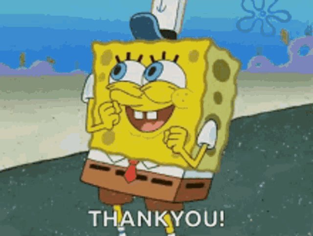 Thank You Ty GIF