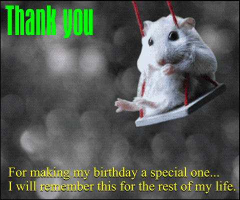 Thank You Ty GIF