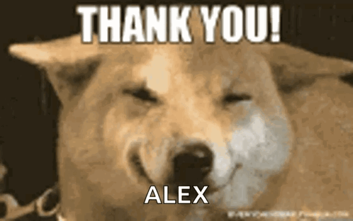 Thank You GIF. This 498 x 312 animated GIF is part of our thanks for your attention collection. Related themes include thanks. Created by NPI369. View the…