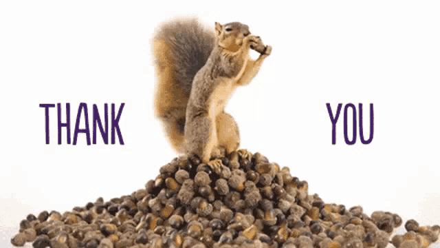 Thank Yu Thanks GIF