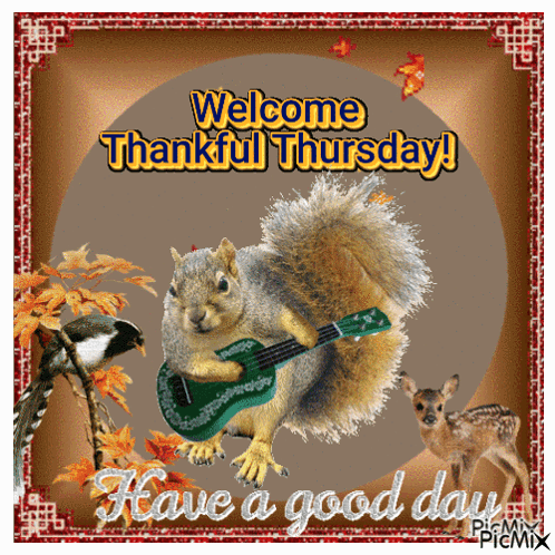 Thankful Thursday GIF. This 498 x 498 animated GIF is part of our guten morgen donnerstag collection. Created by sobronxjourno. View the original animation…