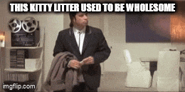 Thanks GIF