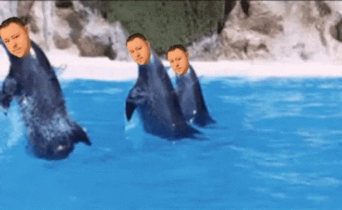 Thanks For All The Tag Gronps Thank You GIF. This 498 x 306 animated GIF is part of our thanks for watching in water collection. Related themes include…