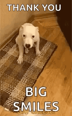Thanks GIF. This 248 x 398 animated GIF is part of our best collection. Related themes include thanks. Created by PageHoo. View the original animation…