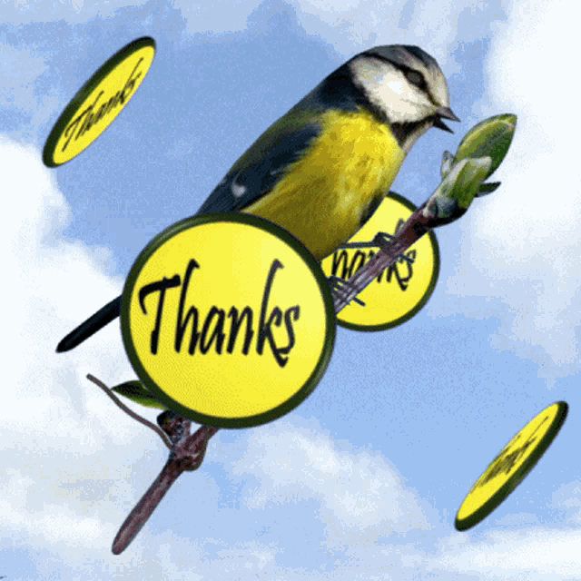 Thanks Thank You GIF