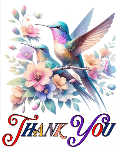 Thanks You Gif Thank You GIF