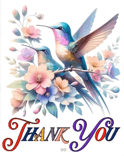 Thanks You Gif Thank You GIF