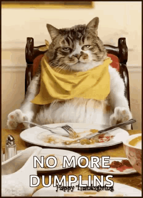 Thanksgiving Cat GIF