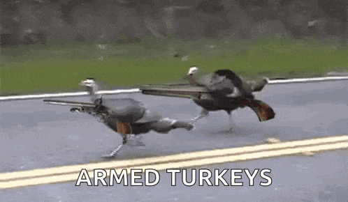 Thanksgiving GIF