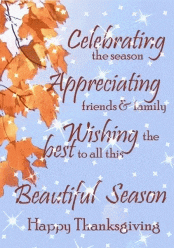 Thanksgiving Happy Thanksgiving GIF
