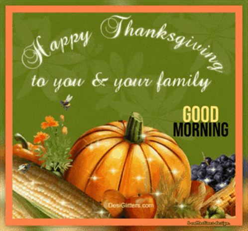 Thanksgiving Happy GIF