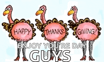 Thanksgiving Turkey GIF