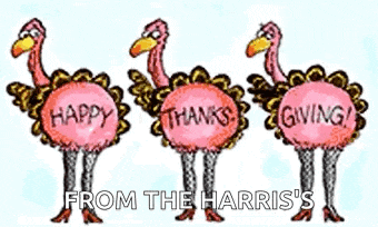 Thanksgiving Turkey GIF