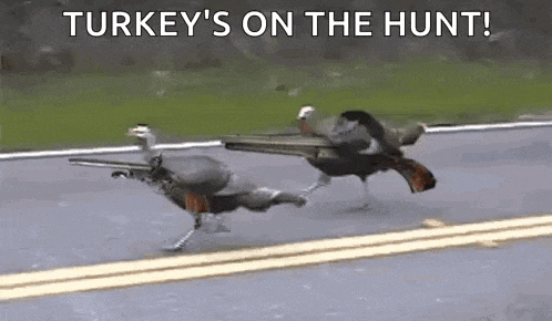 Thanksgiving GIF