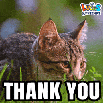 Thankyou Thank You GIF