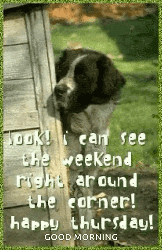 Thankyou Very GIF