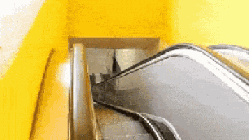 That Escalated GIF