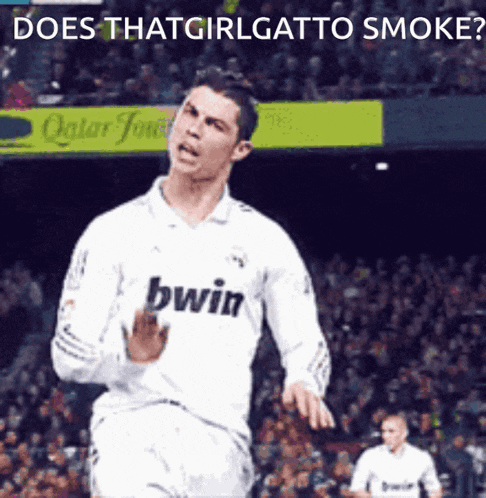 Thatgirlgatto GIF