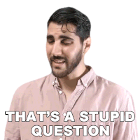 Thats A Stupid Question Rudy Ayoub Sticker