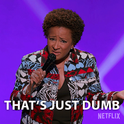Thats Just Dumb Wanda Sykes GIF