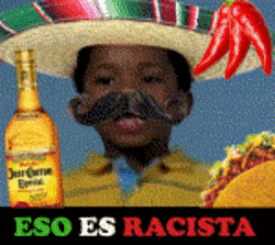 That’s Racist Mexican GIF