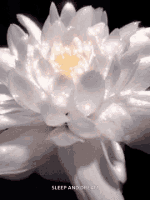 The Aveng GIF