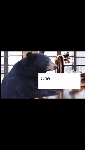 The Big GIF