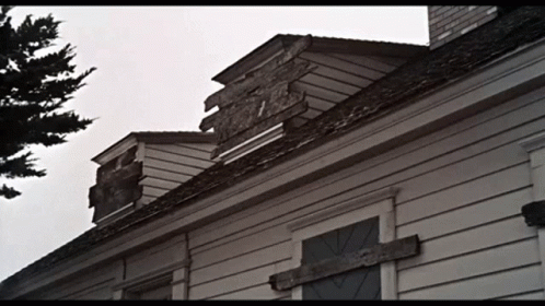 The Birds Boarding The Windows GIF