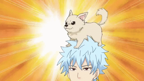 The Disastrous Life Of Saiki K Anime GIF