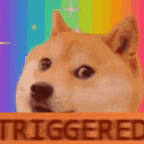 The Doge Nft Thedoge GIF
