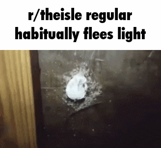The Isle Isle Reddit GIF