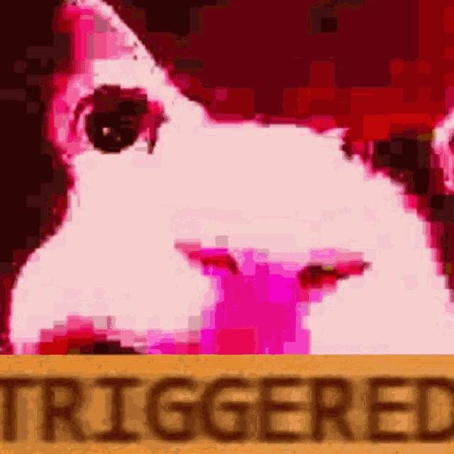 The Jonas Craft Rastet Aus Triggered GIF