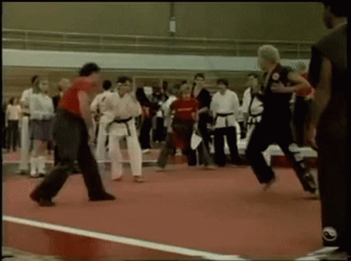 The Karate Kid Cobra Kai GIF