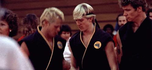 The Karate Kid Cobra Kai GIF