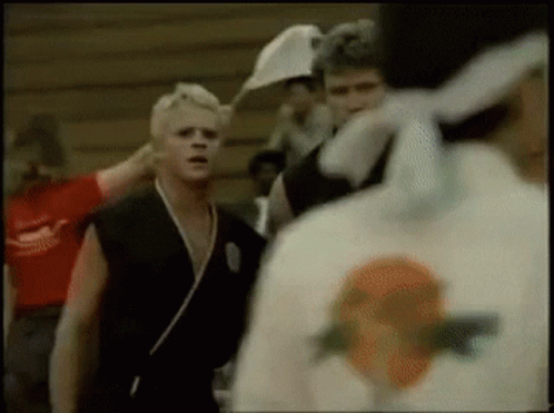 The Karate Kid Cobra Kai GIF