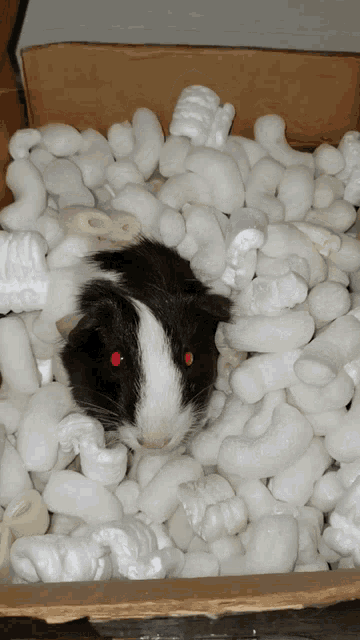 The Looks Evil Eyes GIF