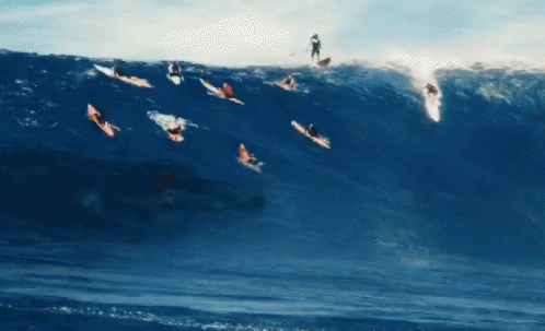 The Meg Sharks GIF