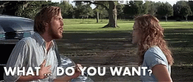 The Notebook What Do You Want GIF