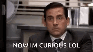 The Office Michael Scott GIF