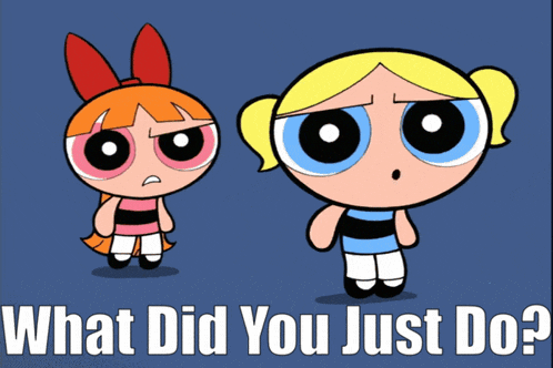 The Powerpuff Girls What Did You Just Do GIF