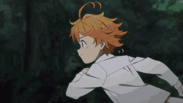The Promised GIF