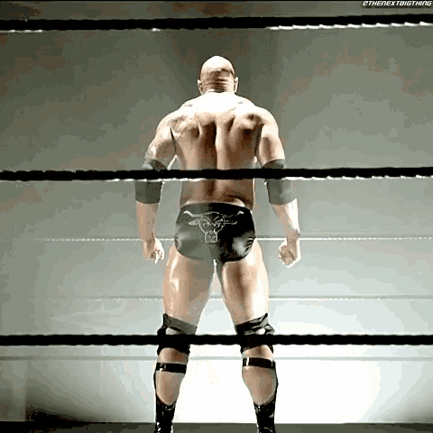 The Rock Raise Eyebrow GIF