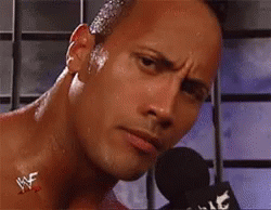 The Rock Say What GIF