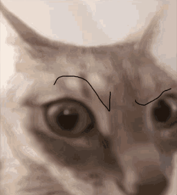 The Rock Sus The Rock Meme GIF