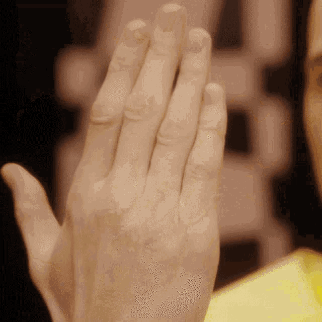 The Roop Roop GIF