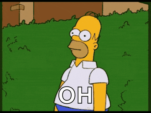 The Simpsons Homer Simpson GIF