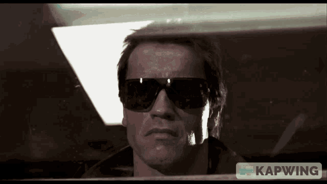 The Terminator Arnold Schwarzenegger GIF